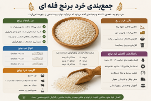 هنگام خرید برنج فله‌ای به چه نکاتی دقت کنیم