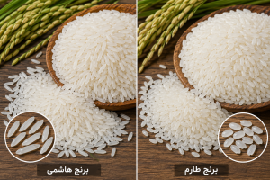 روش جلوگیری از کرم زدن برنج l علت کرم زدن و روش صحیح نگهداری 5 روش جلوگیری از کرم زدن برنج