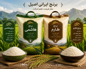 بهترین برنج برای مصرف روزانه خانواده l راهنمای جامع 1405 2 بهترین برنج برای مصرف روزانه