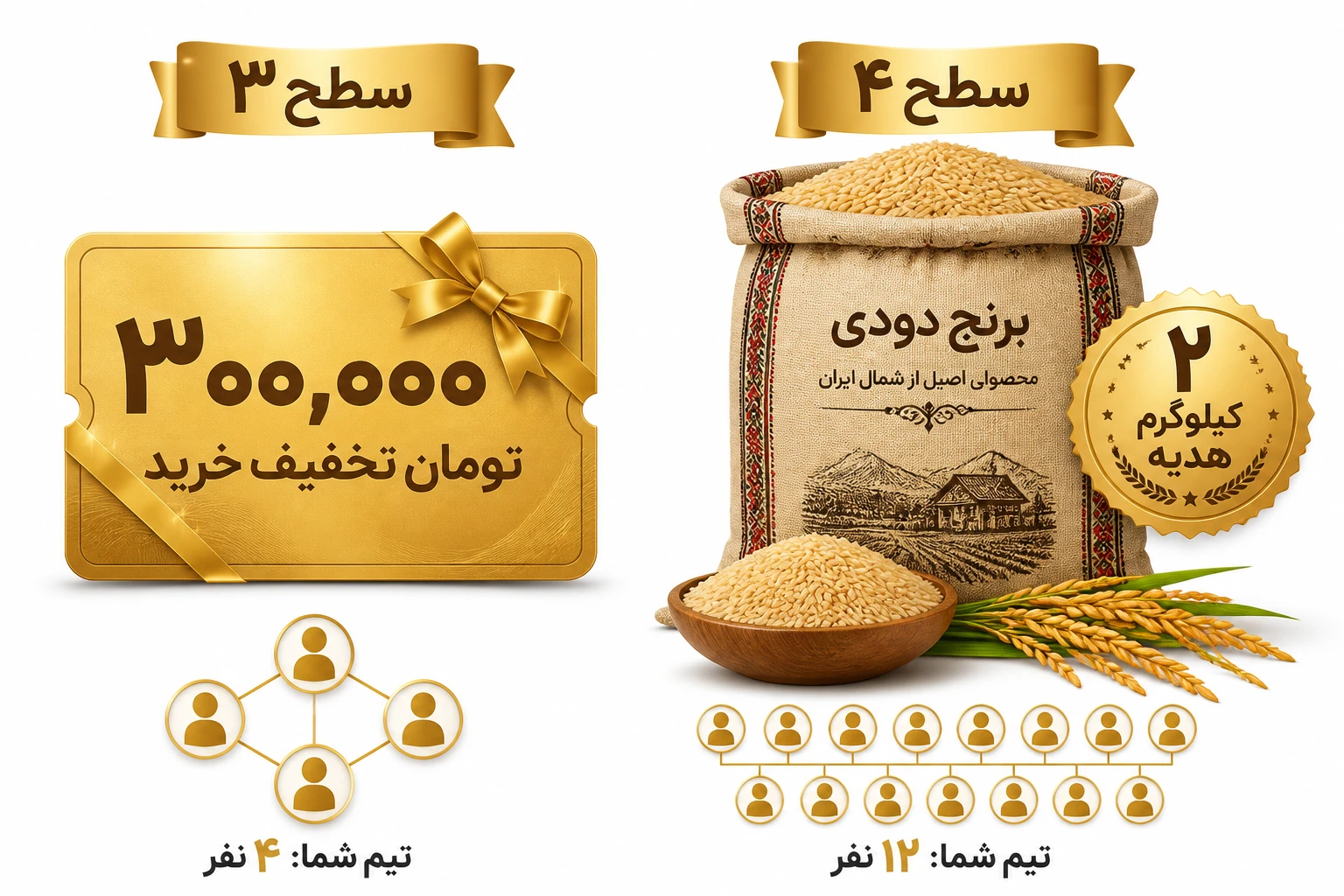 تخفیف های ویژه اختصاصی برای نمایندگان و بازاریابان شالی گستر 2 امتیازهای ویژه بازاریابان