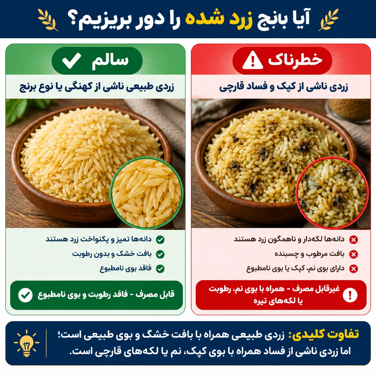 خطرات کپک زدن برنج و سم خطرناک آفلاتوکسین