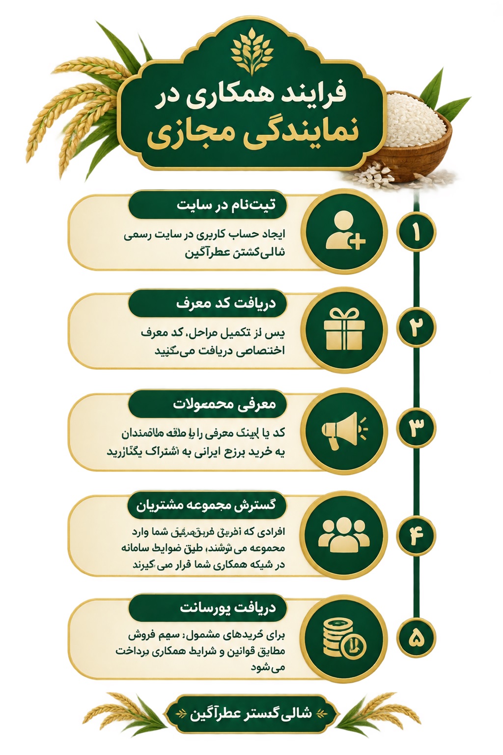 انواع نمایندگی در شالی‌گستر عطرآگین