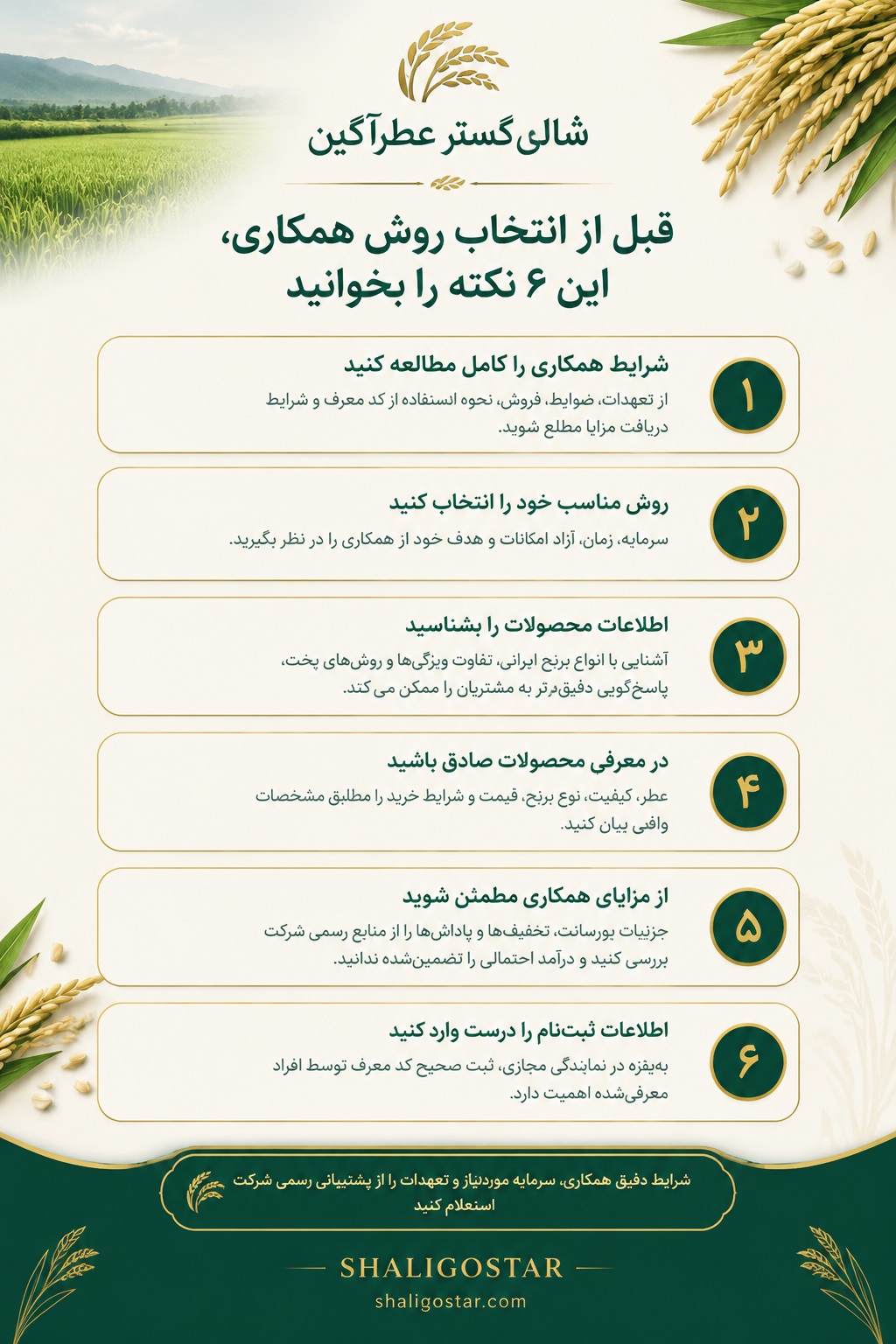 نحوه دریافت نمایندگی شالیگستر عطرآگین 4 نحوه دریافت نمایندگی