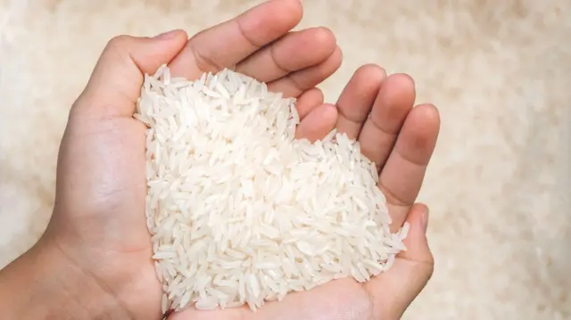 تأثیر زمان برداشت بر کیفیت برنج