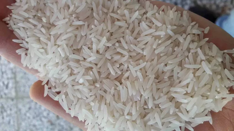 خرید برنج فجر درجه ی یک - قیمت امروز