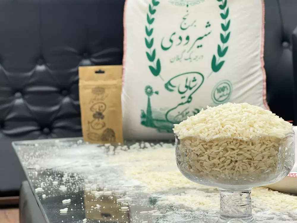 خرید برنج شیرودی درجه یک گیلان- قیمت امروز
