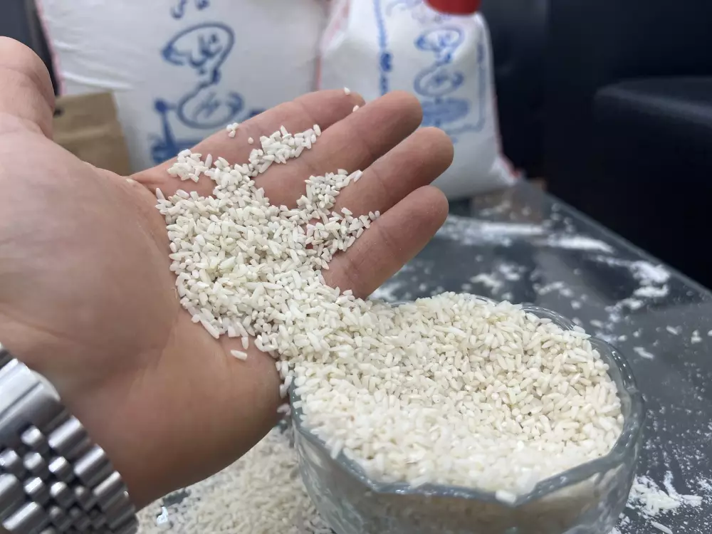 خرید برنج لاشه هاشمی گیلان -✅قیمت امروز