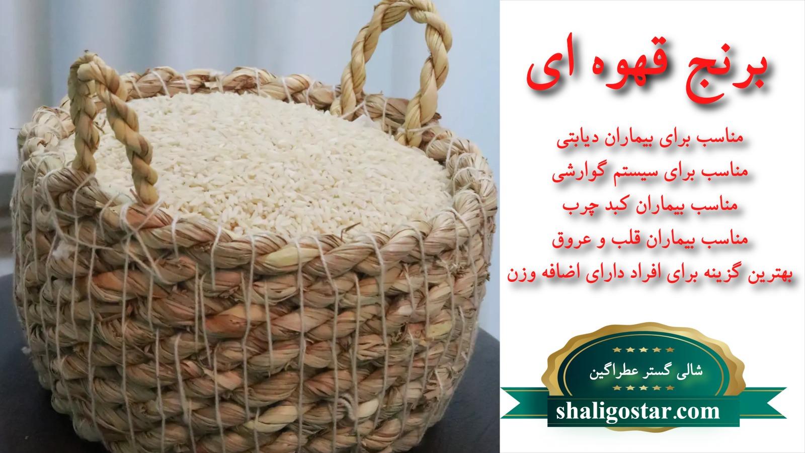 برنج لاشه قهوه ای درجه یک هاشمی گیلان