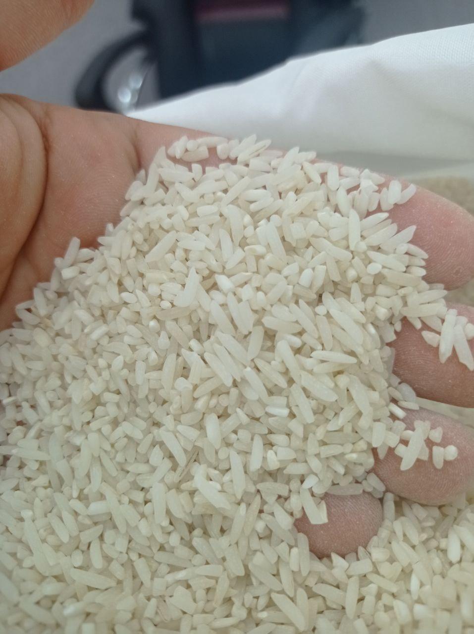 خرید برنج سرلاشه هاشمی گیلان - قیمت امروز