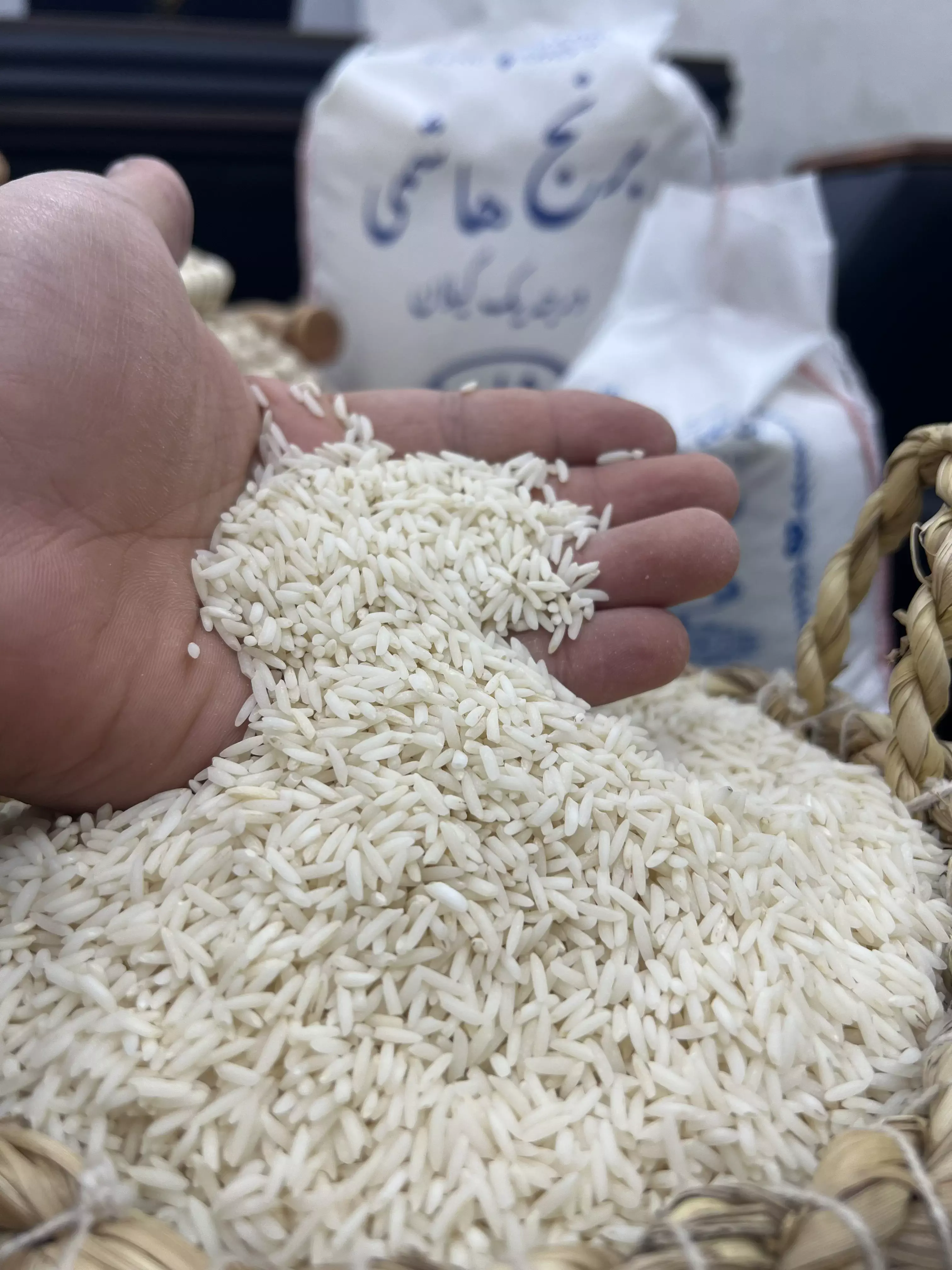 خرید برنج هاشمی معطر گیلان - قیمت امروز